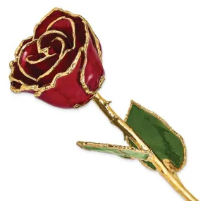 Burgundy Rose with Gold Trim