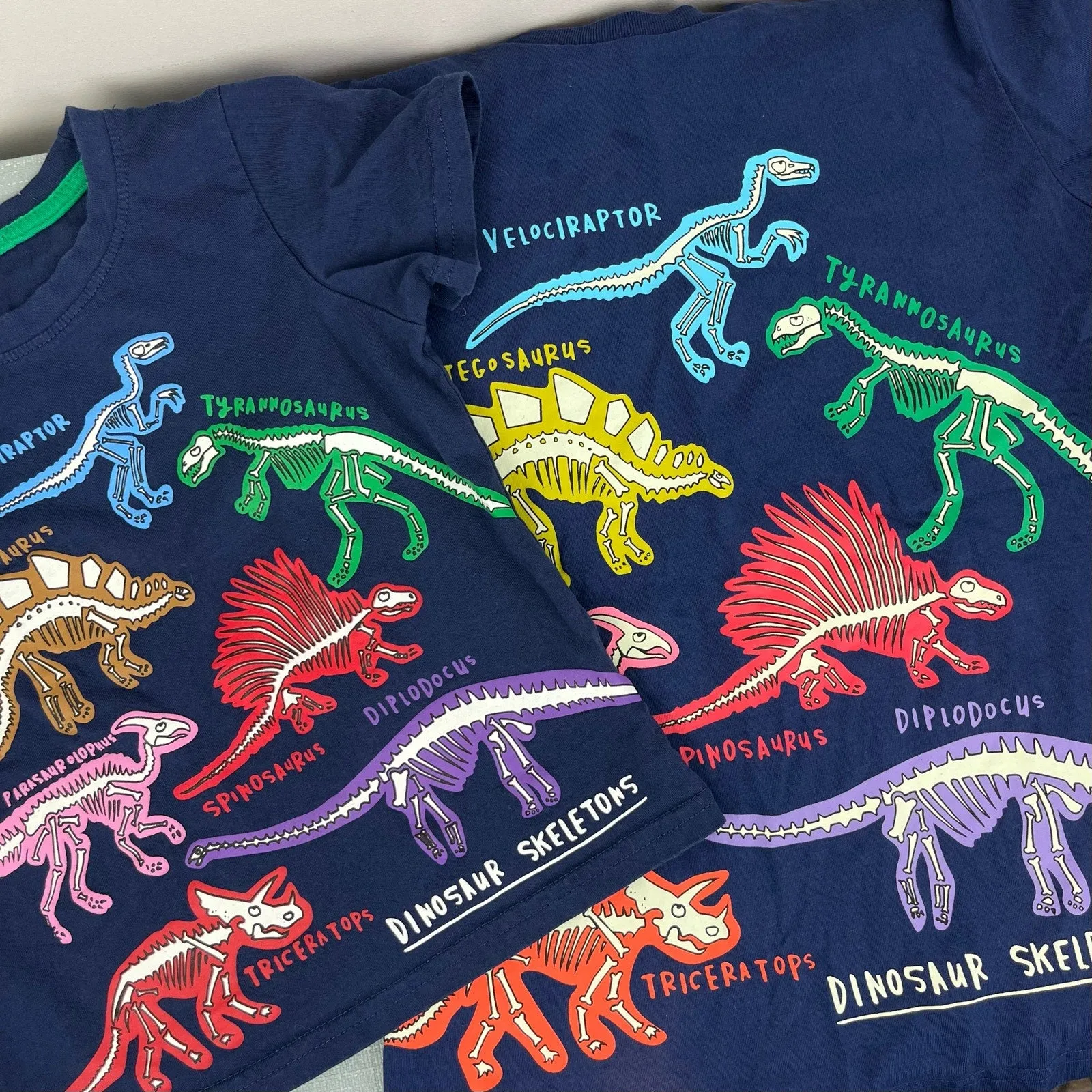 Educational Graphic T-Shirt Starboard Blue Dinosaur Skeletons 4T