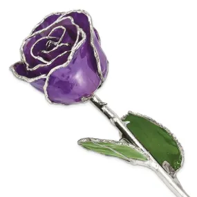 Lilac Rose with Silver Trim