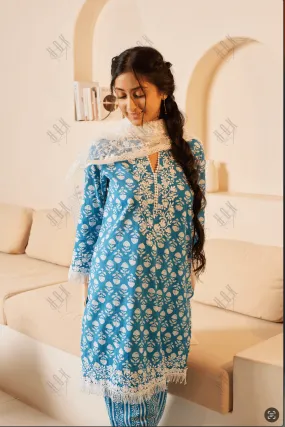 Samma Chikankari Co-ord set in Cotton for Women- Blue